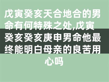戊寅癸亥天合地合的男命有何特殊之处,戊寅癸亥癸亥庚申男命他最终能明白母亲的良苦用心吗