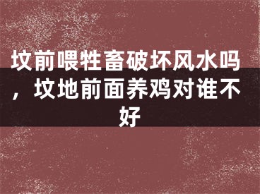 坟前喂牲畜破坏风水吗，坟地前面养鸡对谁不好