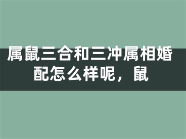 属鼠三合和三冲属相婚配怎么样呢，鼠