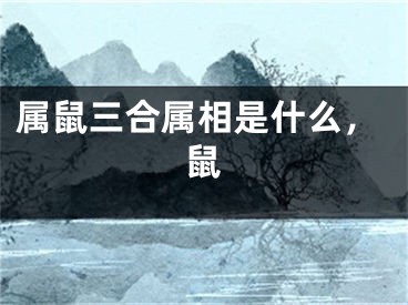 属鼠三合属相是什么，鼠