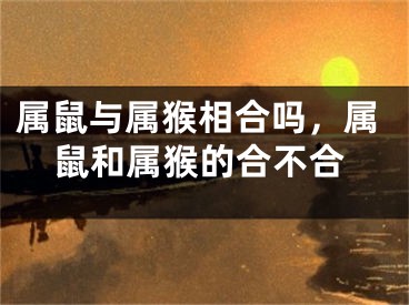 属鼠与属猴相合吗，属鼠和属猴的合不合
