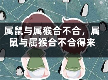属鼠与属猴合不合，属鼠与属猴合不合得来