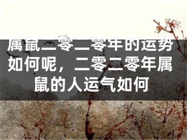 属鼠二零二零年的运势如何呢，二零二零年属鼠的人运气如何
