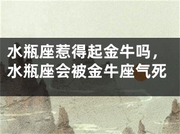 水瓶座惹得起金牛吗，水瓶座会被金牛座气死