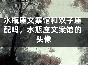 水瓶座文案馆和双子座配吗，水瓶座文案馆的头像