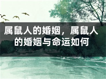 属鼠人的婚姻,属鼠人的婚姻与命运如何