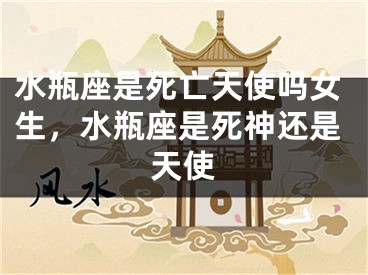 水瓶座是死亡天使吗女生，水瓶座是死神还是天使