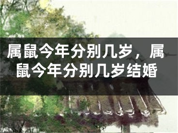 属鼠今年分别几岁，属鼠今年分别几岁结婚