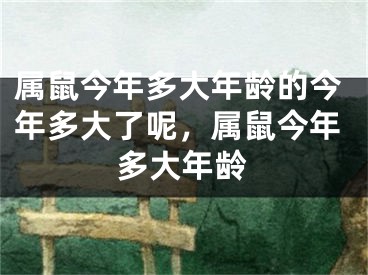 属鼠今年多大年龄的今年多大了呢,属鼠今年多大年龄