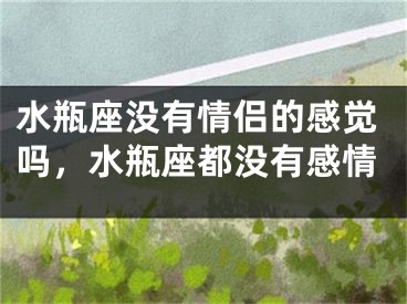 水瓶座没有情侣的感觉吗，水瓶座都没有感情
