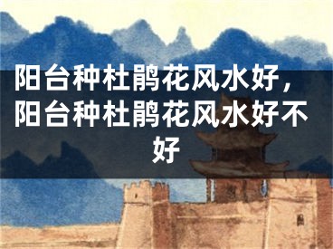阳台种杜鹃花风水好,阳台种杜鹃花风水好不好