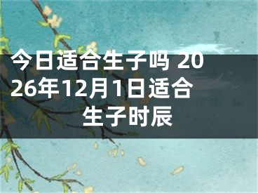 今日适合生子吗 2026年12月1日适合生子时辰