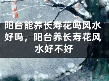 阳台能养长寿花吗风水好吗，阳台养长寿花风水好不好