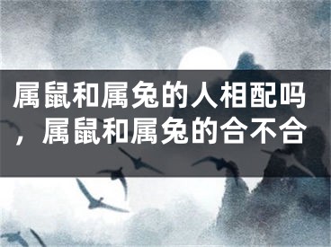 属鼠和属兔的人相配吗，属鼠和属兔的合不合