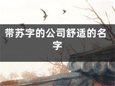 带苏字的公司舒适的名字