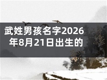 武姓男孩名字2026年8月21日出生的
