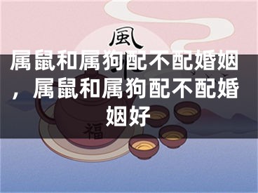 属鼠和属狗配不配婚姻,属鼠和属狗配不配婚姻好