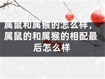 属鼠和属猴的怎么样，属鼠的和属猴的相配最后怎么样