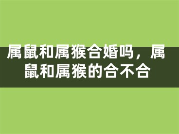 属鼠和属猴合婚吗，属鼠和属猴的合不合