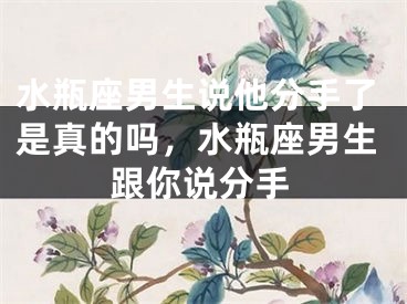 水瓶座男生说他分手了是真的吗，水瓶座男生跟你说分手