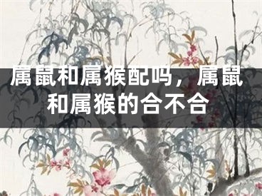 属鼠和属猴配吗，属鼠和属猴的合不合