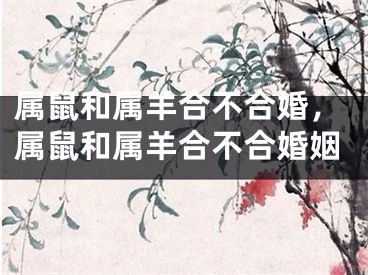 属鼠和属羊合不合婚，属鼠和属羊合不合婚姻