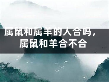 属鼠和属羊的人合吗，属鼠和羊合不合