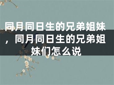 同月同日生的兄弟姐妹，同月同日生的兄弟姐妹们怎么说