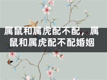 属鼠和属虎配不配，属鼠和属虎配不配婚姻