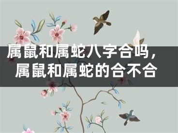 属鼠和属蛇八字合吗，属鼠和属蛇的合不合