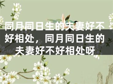 同月同日生的夫妻好不好相处，同月同日生的夫妻好不好相处呀