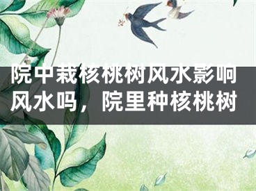 院中栽核桃树风水影响风水吗，院里种核桃树
