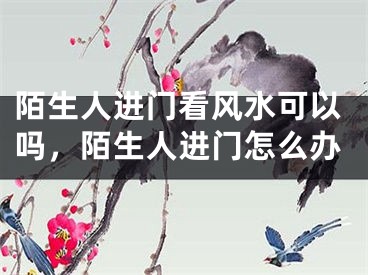 陌生人进门看风水可以吗，陌生人进门怎么办