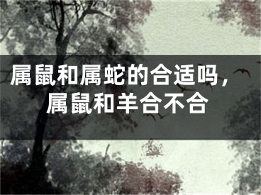 属鼠和属蛇的合适吗，属鼠和羊合不合