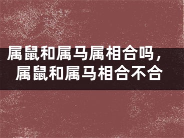 属鼠和属马属相合吗，属鼠和属马相合不合