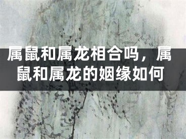 属鼠和属龙相合吗，属鼠和属龙的姻缘如何