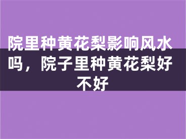 院里种黄花梨影响风水吗，院子里种黄花梨好不好