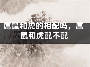 属鼠和虎的相配吗，属鼠和虎配不配