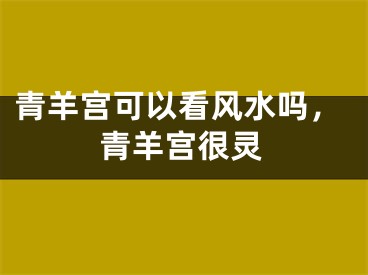 青羊宫可以看风水吗，青羊宫很灵