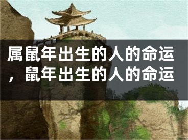 属鼠年出生的人的命运，鼠年出生的人的命运