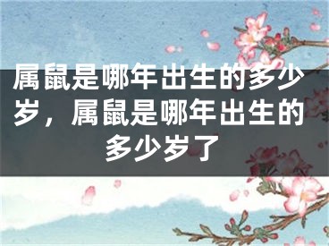 属鼠是哪年出生的多少岁，属鼠是哪年出生的多少岁了