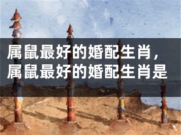 属鼠最好的婚配生肖,属鼠最好的婚配生肖是