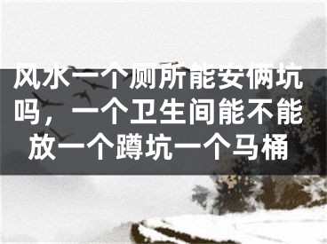 风水一个厕所能安俩坑吗，一个卫生间能不能放一个蹲坑一个马桶