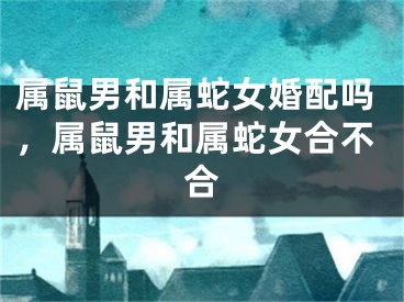 属鼠男和属蛇女婚配吗,属鼠男和属蛇女合不合