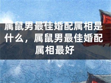 属鼠男最佳婚配属相是什么,属鼠男最佳婚配属相最好