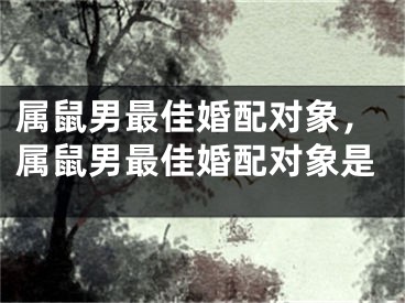 属鼠男最佳婚配对象,属鼠男最佳婚配对象是