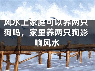 风水上家庭可以养两只狗吗,家里养两只狗影响风水