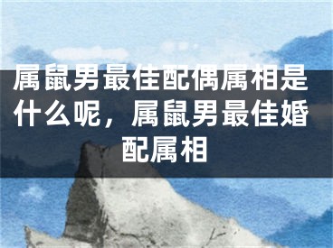 属鼠男最佳配偶属相是什么呢，属鼠男最佳婚配属相