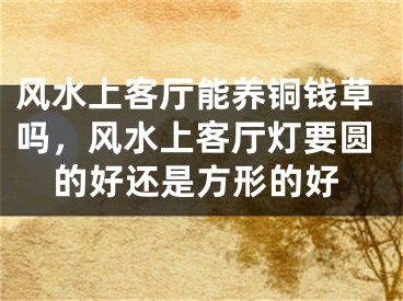 风水上客厅能养铜钱草吗，风水上客厅灯要圆的好还是方形的好