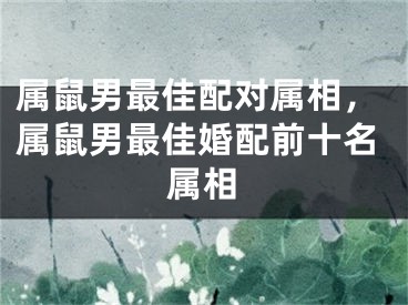 属鼠男最佳配对属相,属鼠男最佳婚配前十名属相